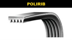 polirib